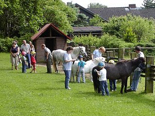 reiten1